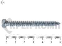 Шуруп с шестигранной головкой DIN7976 5,5х60 (25шт)